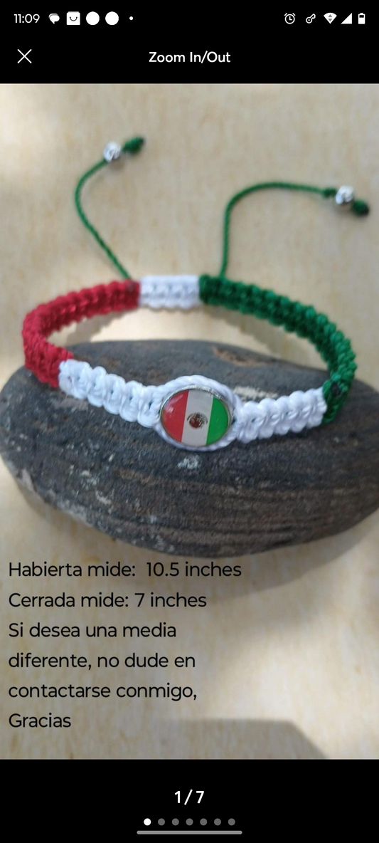 Bandera de mexico echo en casa