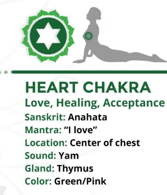 7 chakras. (2piezas)