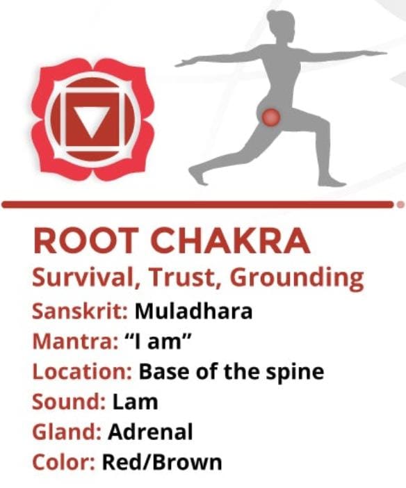 7 chakras. (2piezas)